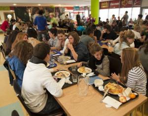 Curso de ingles de verano para jovenes