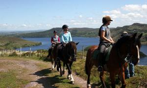 equitacion, hipica Irlanda