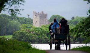 visitando Muckross House