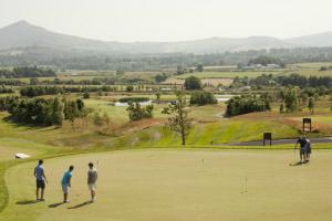 practica golf en dublin