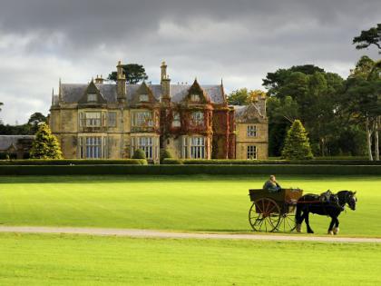 Destinos para Estudiar en Irlanda - Killarney